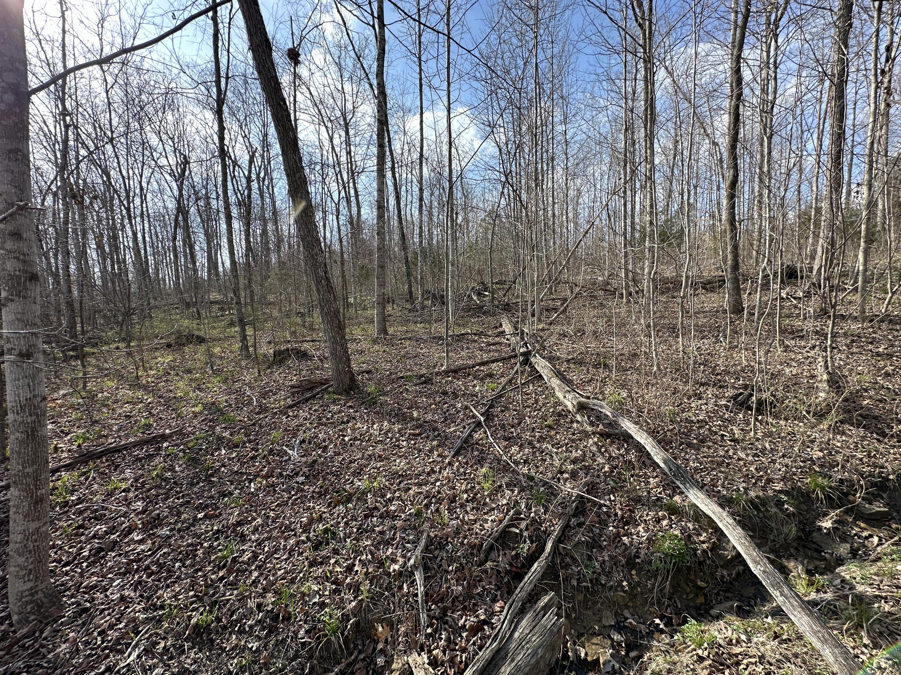 2a Riverside Benleo Road Property Photo 32