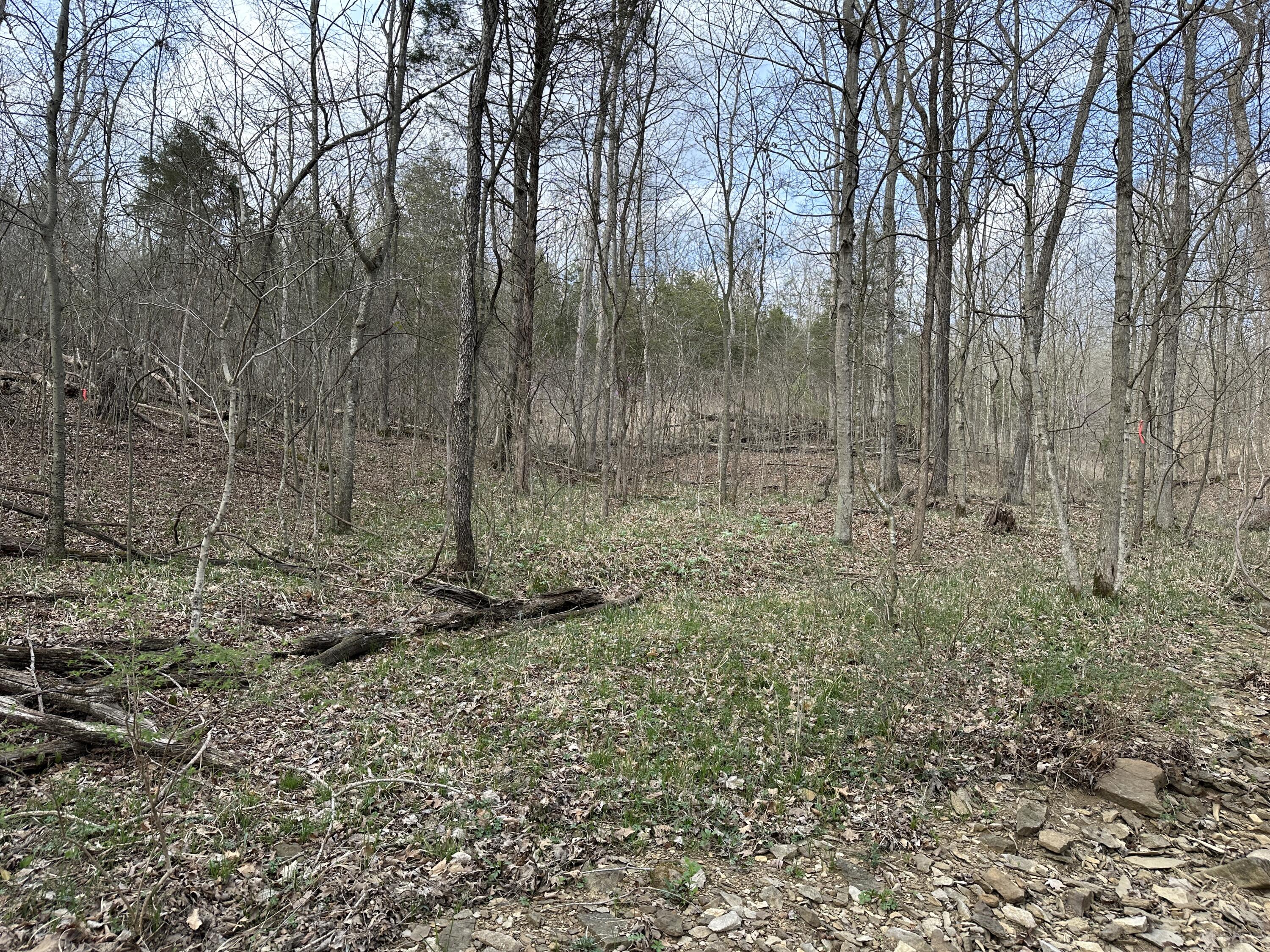 2a Riverside Benleo Road Property Photo 34