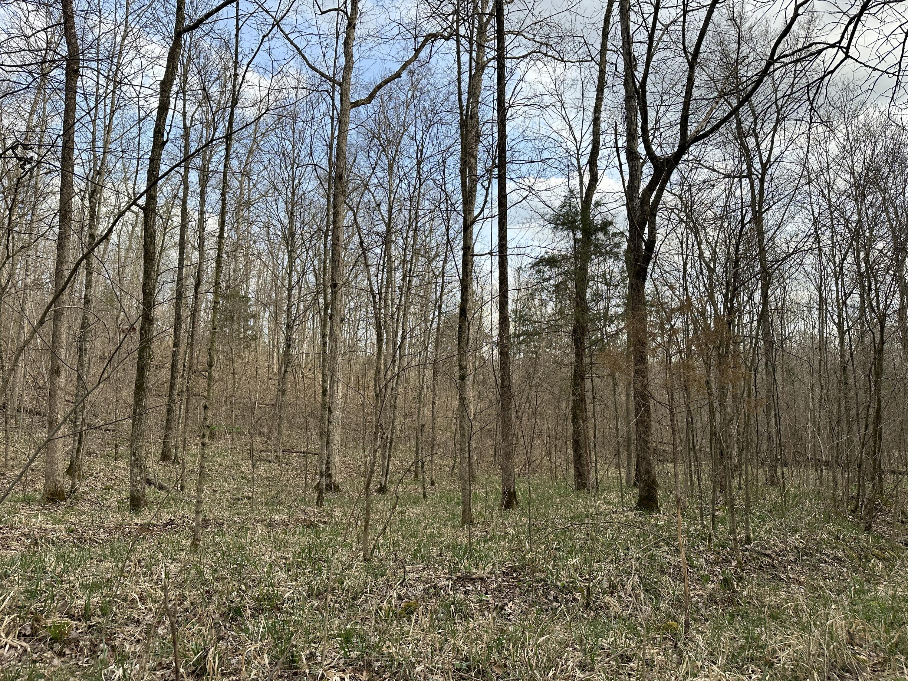 2a Riverside Benleo Road Property Photo 35