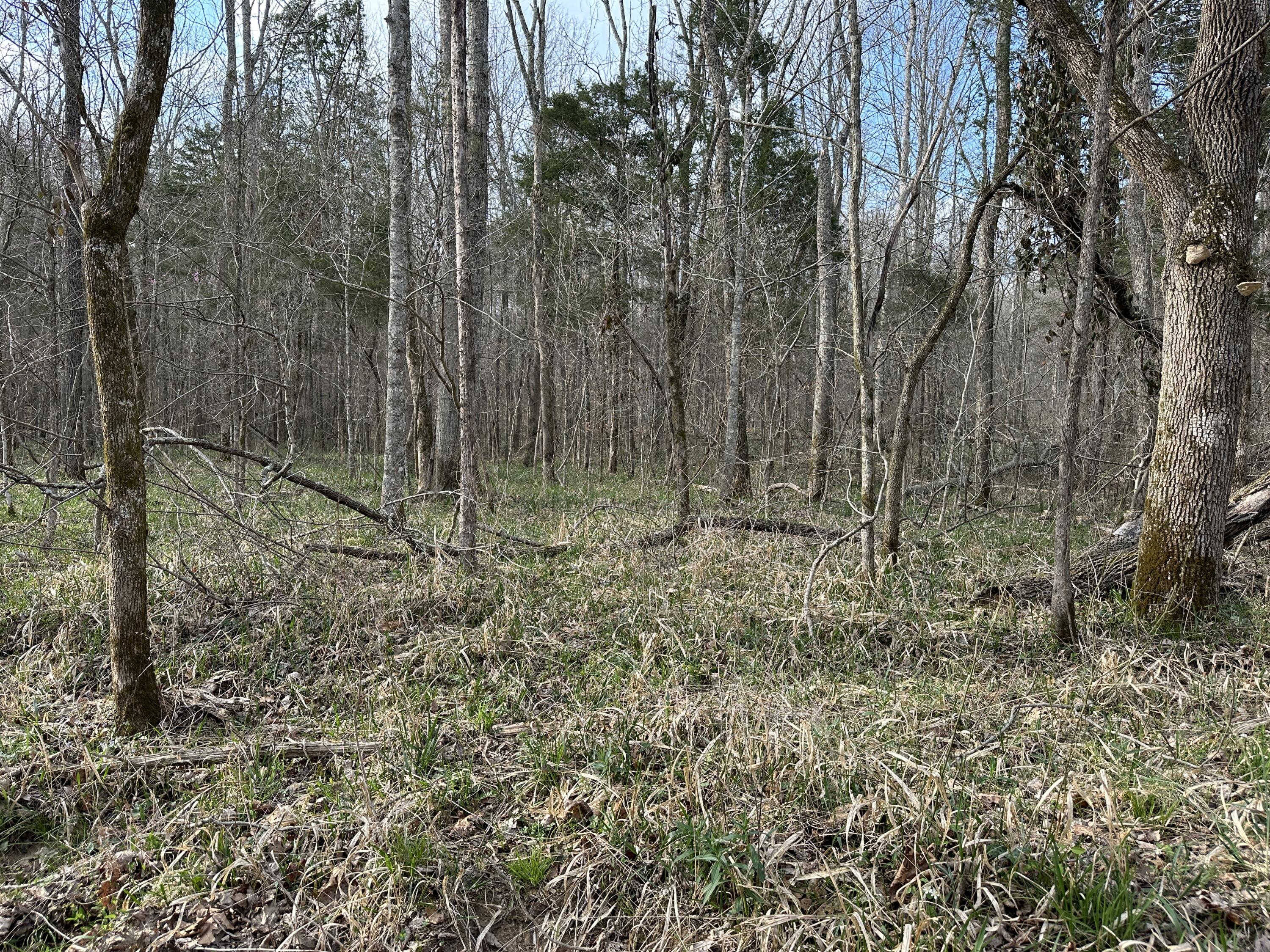 2a Riverside Benleo Road Property Photo 36