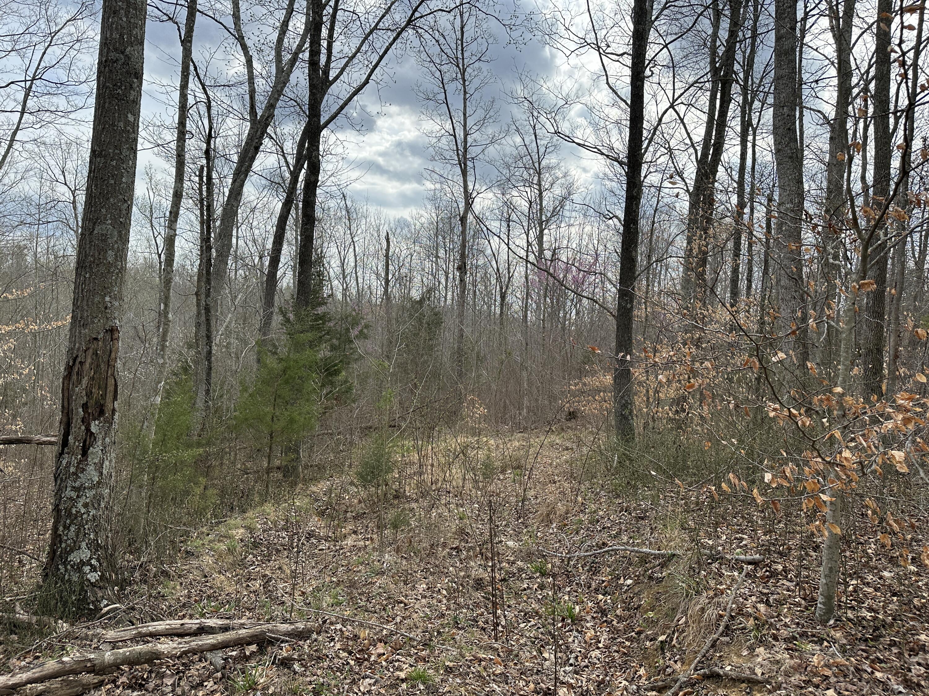 2a Riverside Benleo Road Property Photo 37