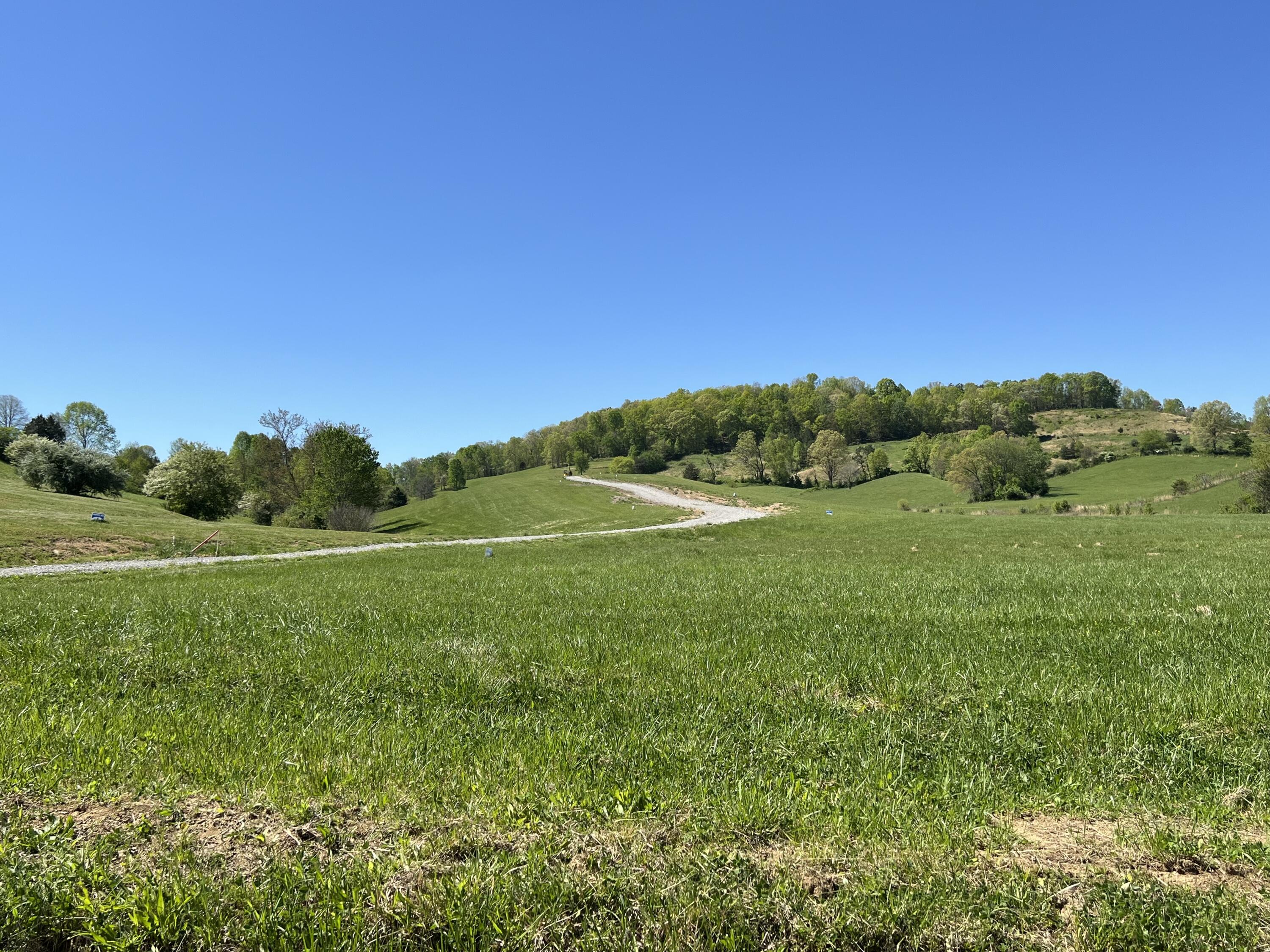 9999 Shiner Hill Phase Ii Lot #26 Property Photo 2