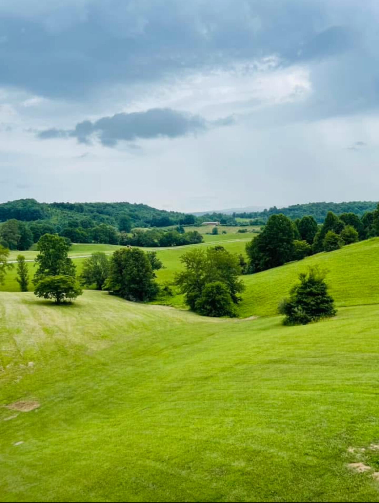 9999 Shiner Hill Phase II Lot #27 Property Photo 1