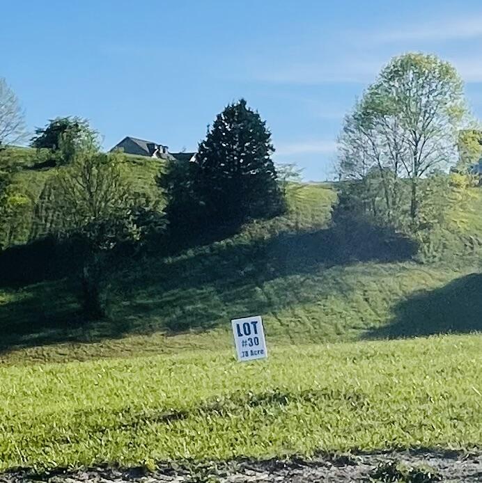 9999 Shiner Hill Phase Ii Lot #30 Property Photo 3