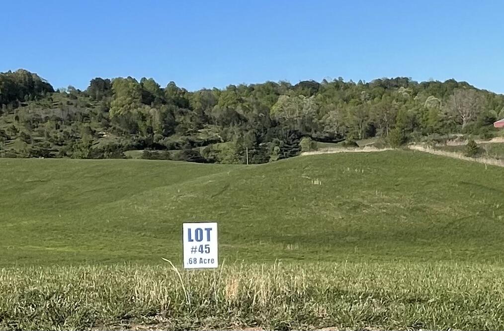 9999 Shiner Hill Phase Ii Lot #45 Property Photo 3