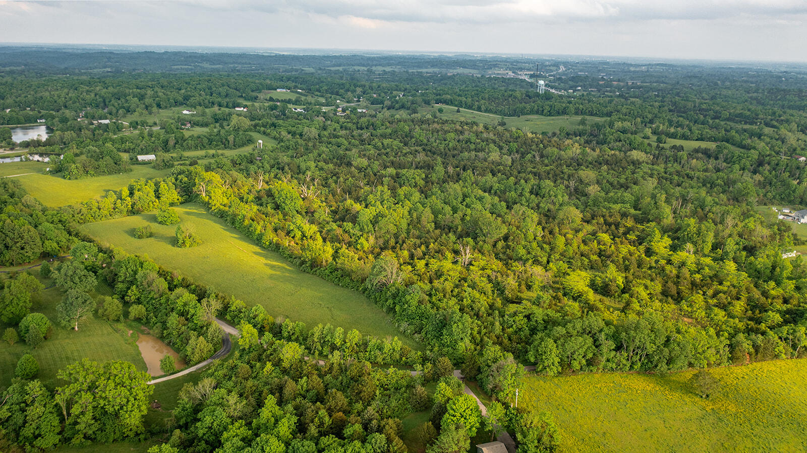 1039 Pumphouse Road Property Photo 4