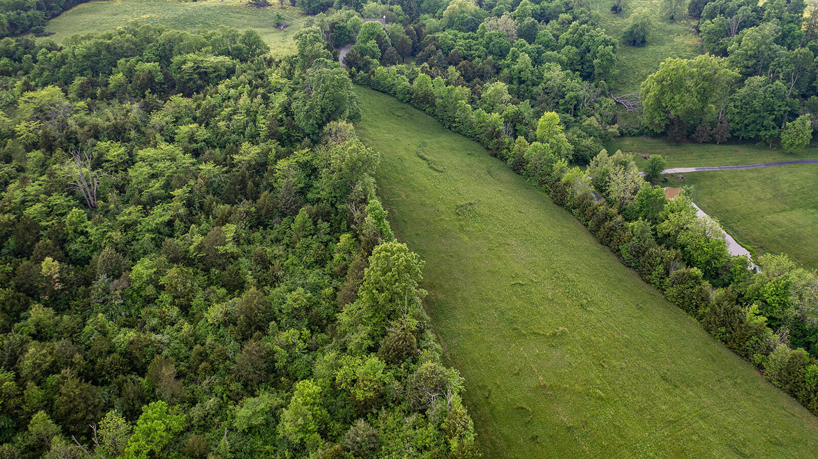 1039 Pumphouse Road Property Photo 9