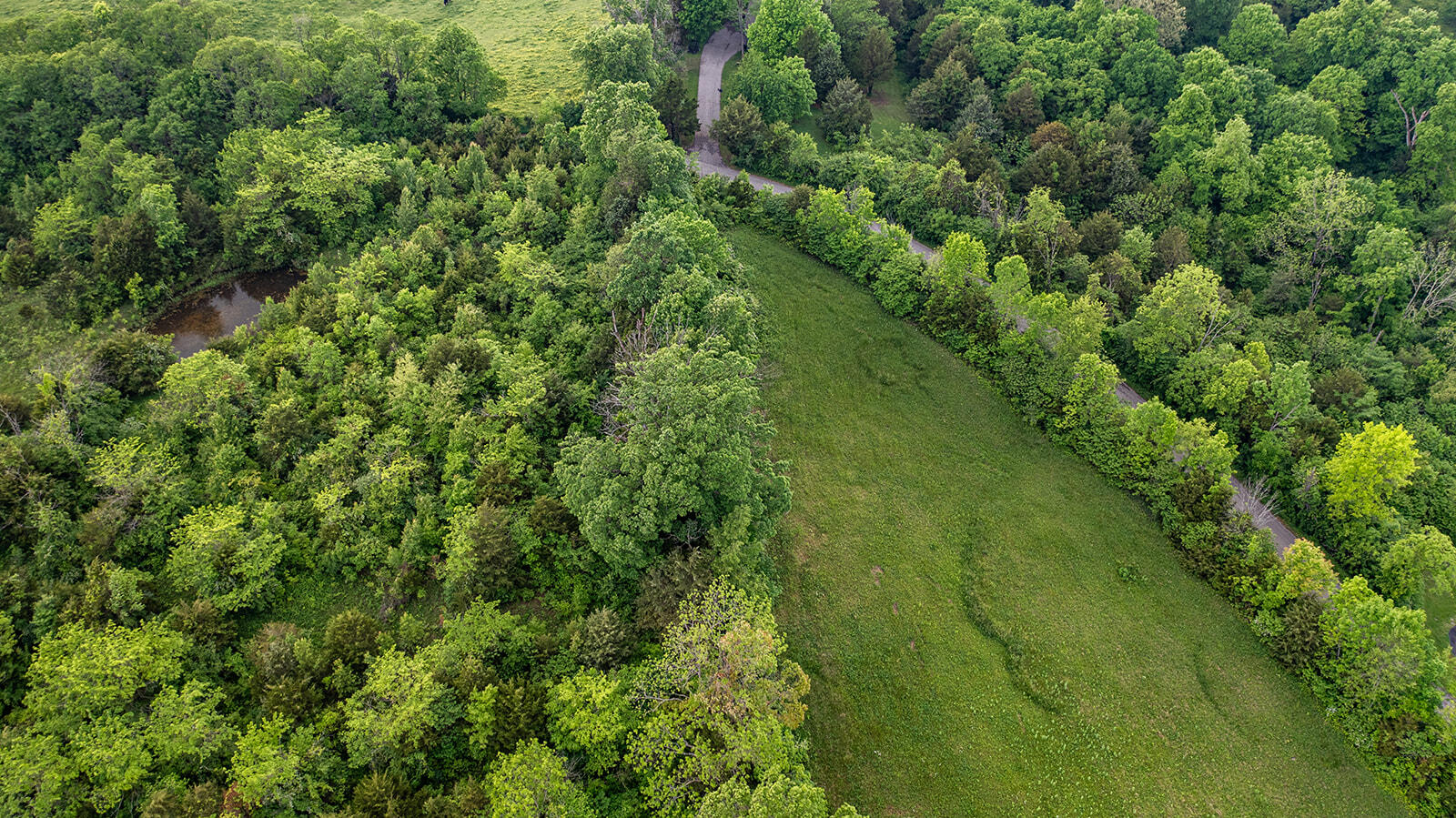 1039 Pumphouse Road Property Photo 11