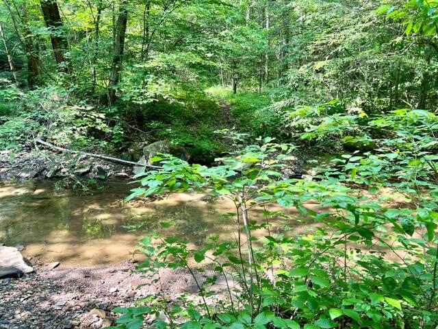 0 Coperas Cave Branch Property Photo 2