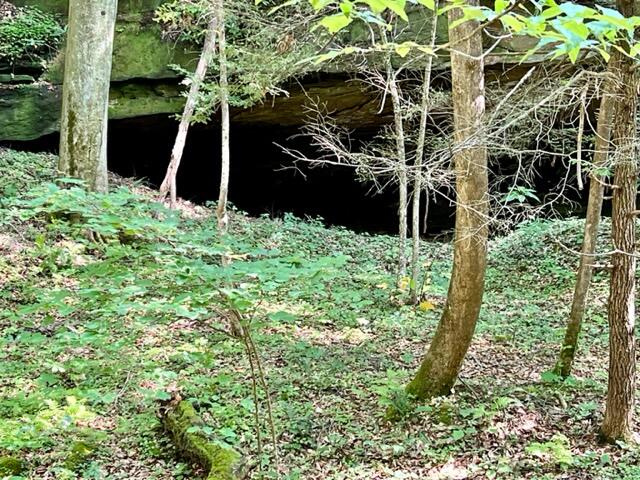 0 Coperas Cave Branch Property Photo 5