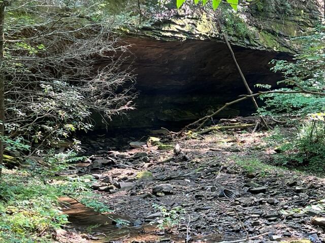 0 Coperas Cave Branch Property Photo 6
