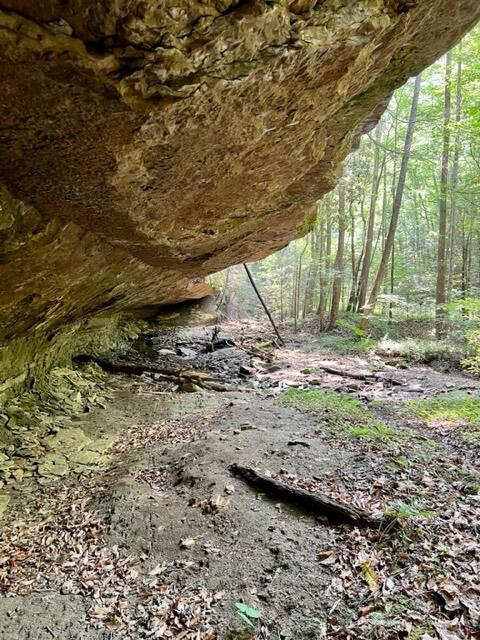 0 Coperas Cave Branch Property Photo 7