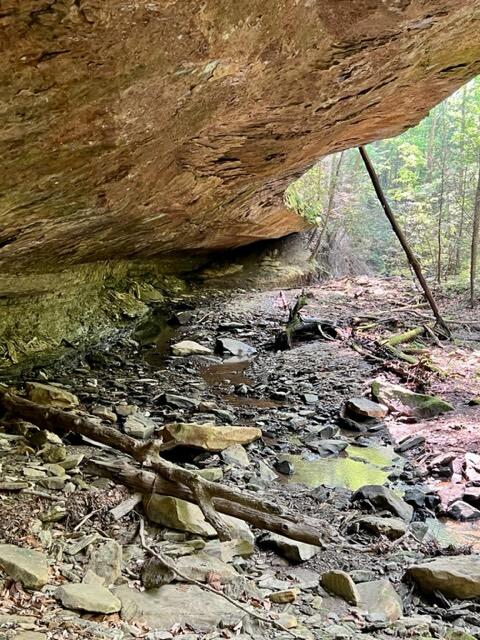 0 Coperas Cave Branch Property Photo 8