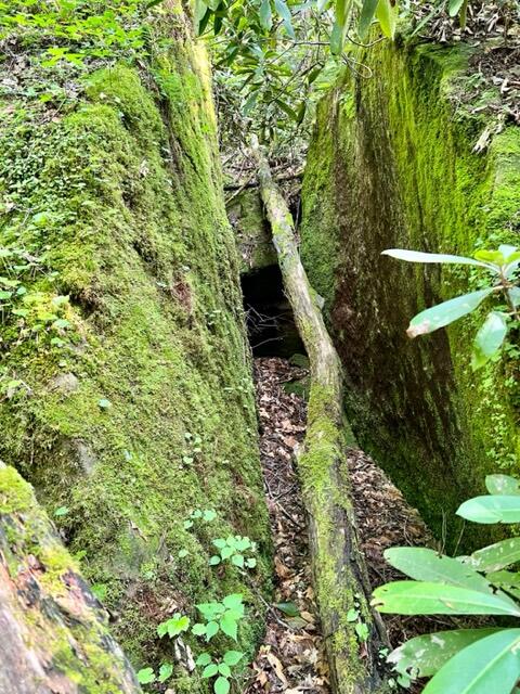0 Coperas Cave Branch Property Photo 12