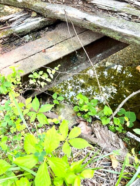 0 Coperas Cave Branch Property Photo 14