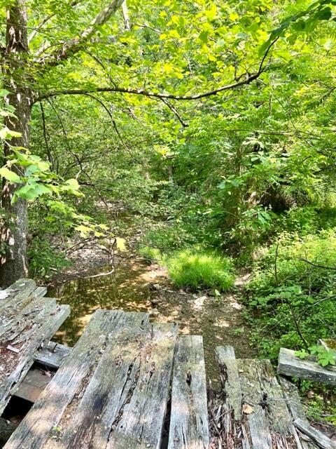 0 Coperas Cave Branch Property Photo 17