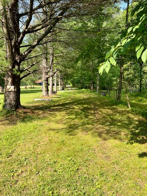 0 Coperas Cave Branch Property Photo 21