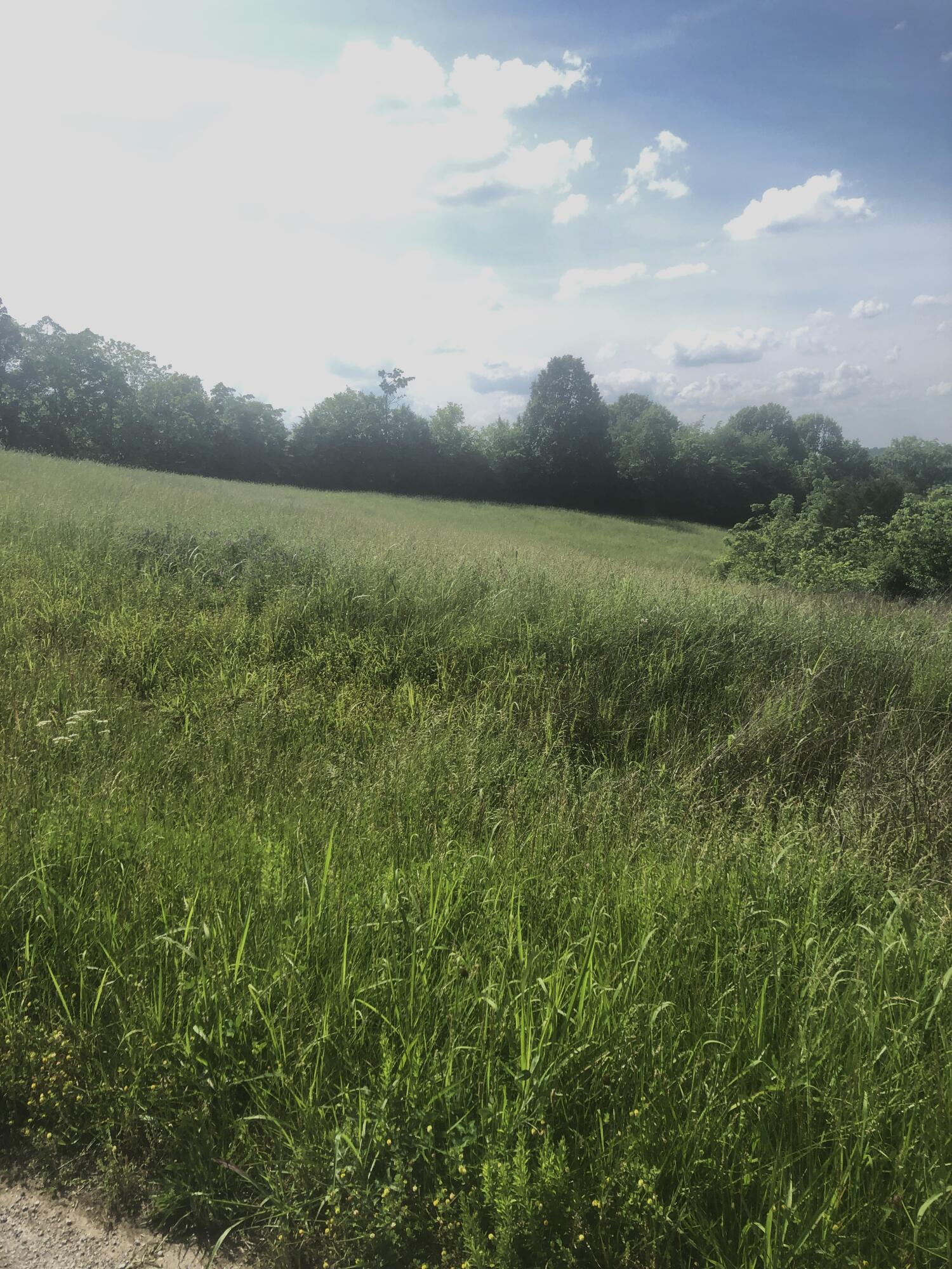 5 S Chowning Lane Property Photo 1