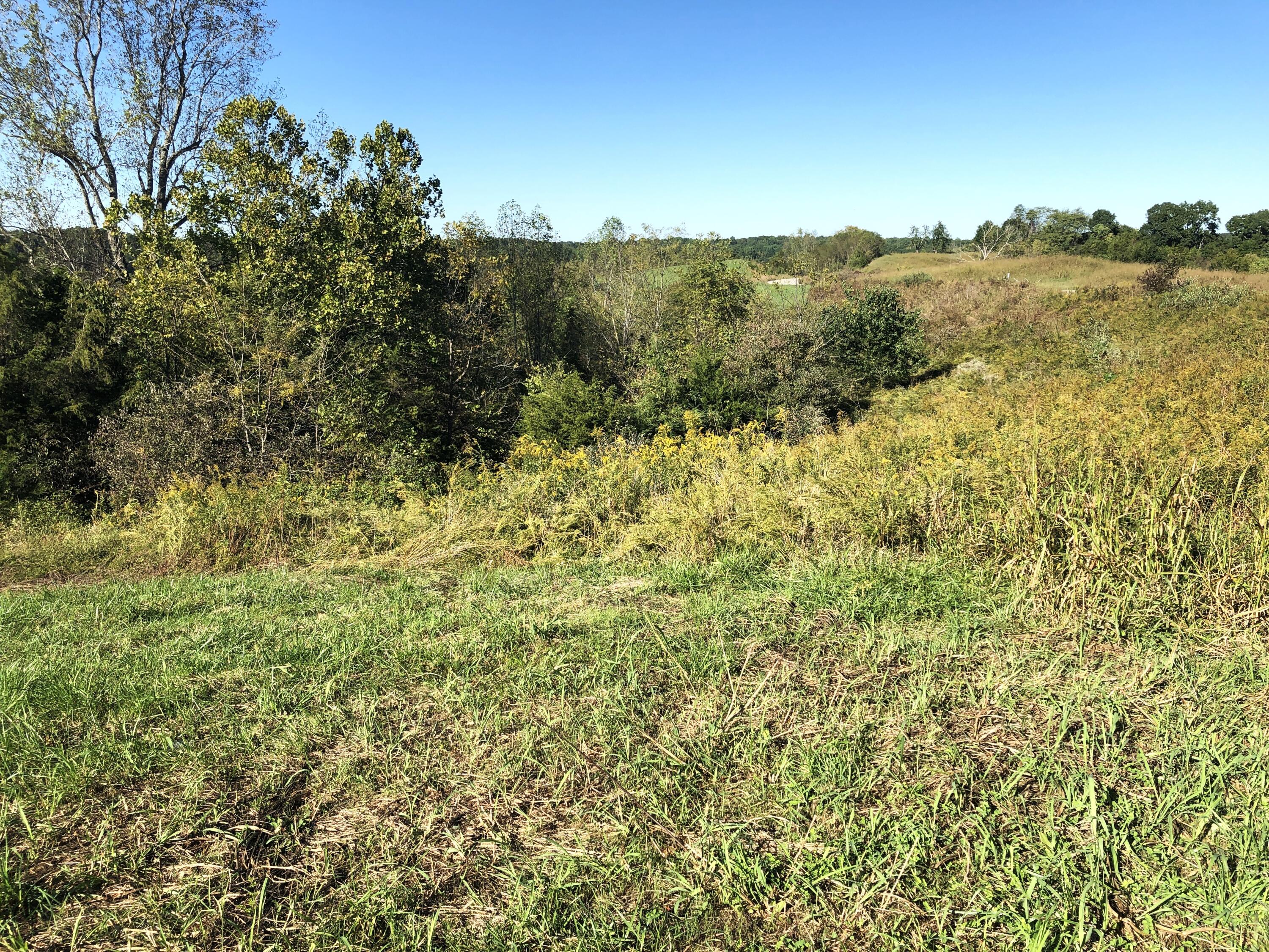 5 S Chowning Lane Property Photo 4