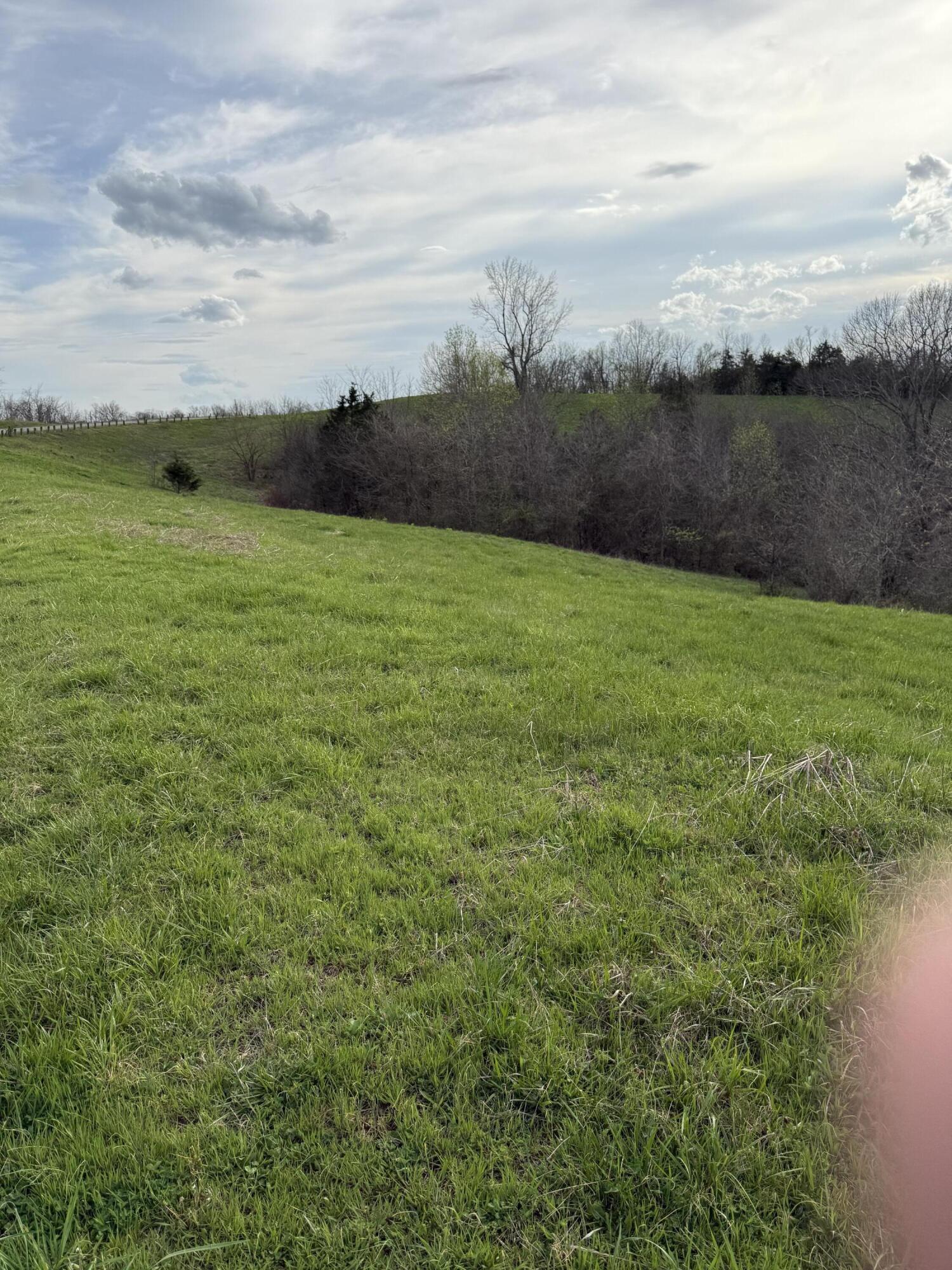 5 S Chowning Lane Property Photo 6