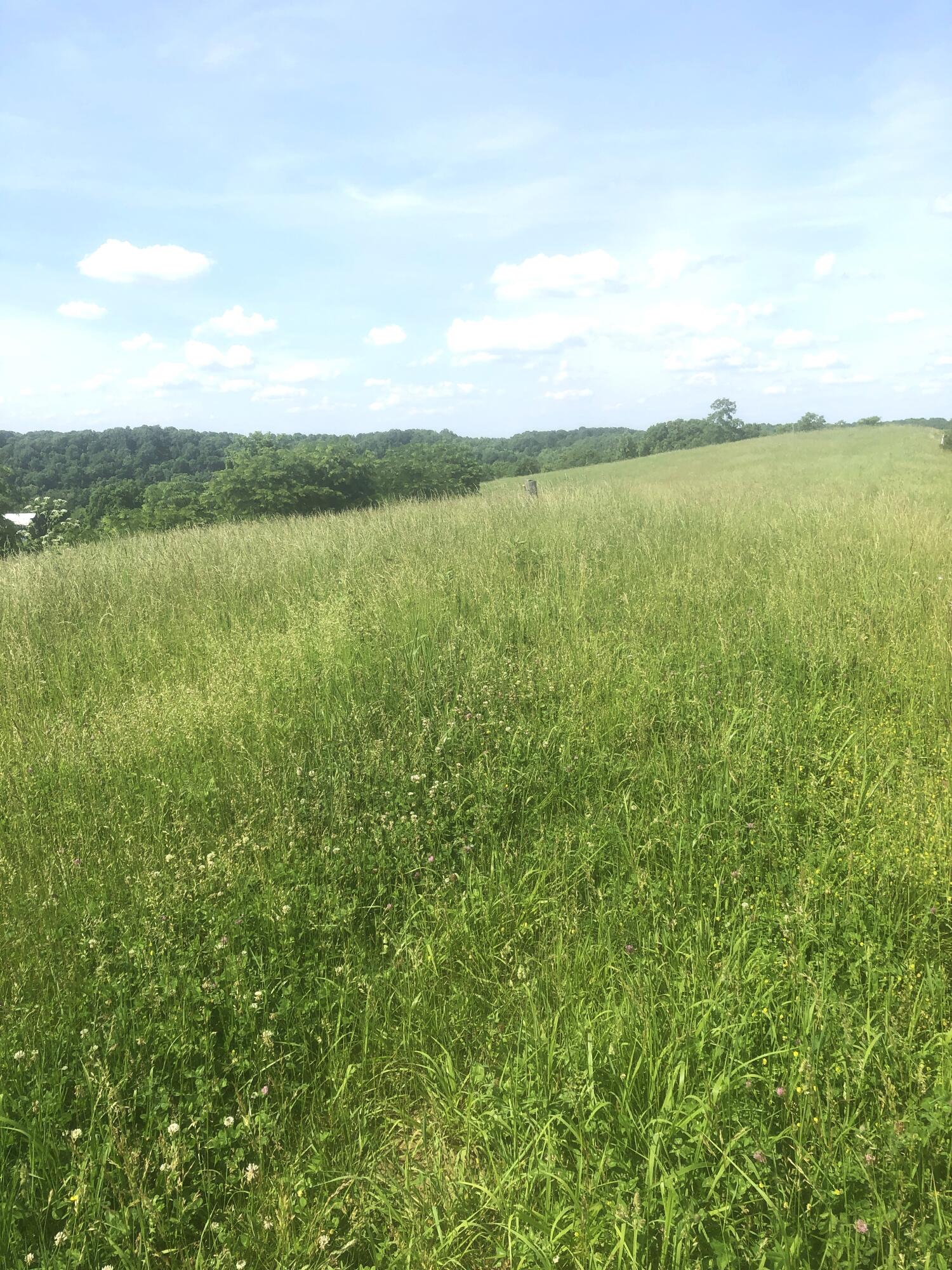 6 S Chowning Lane Property Photo 1