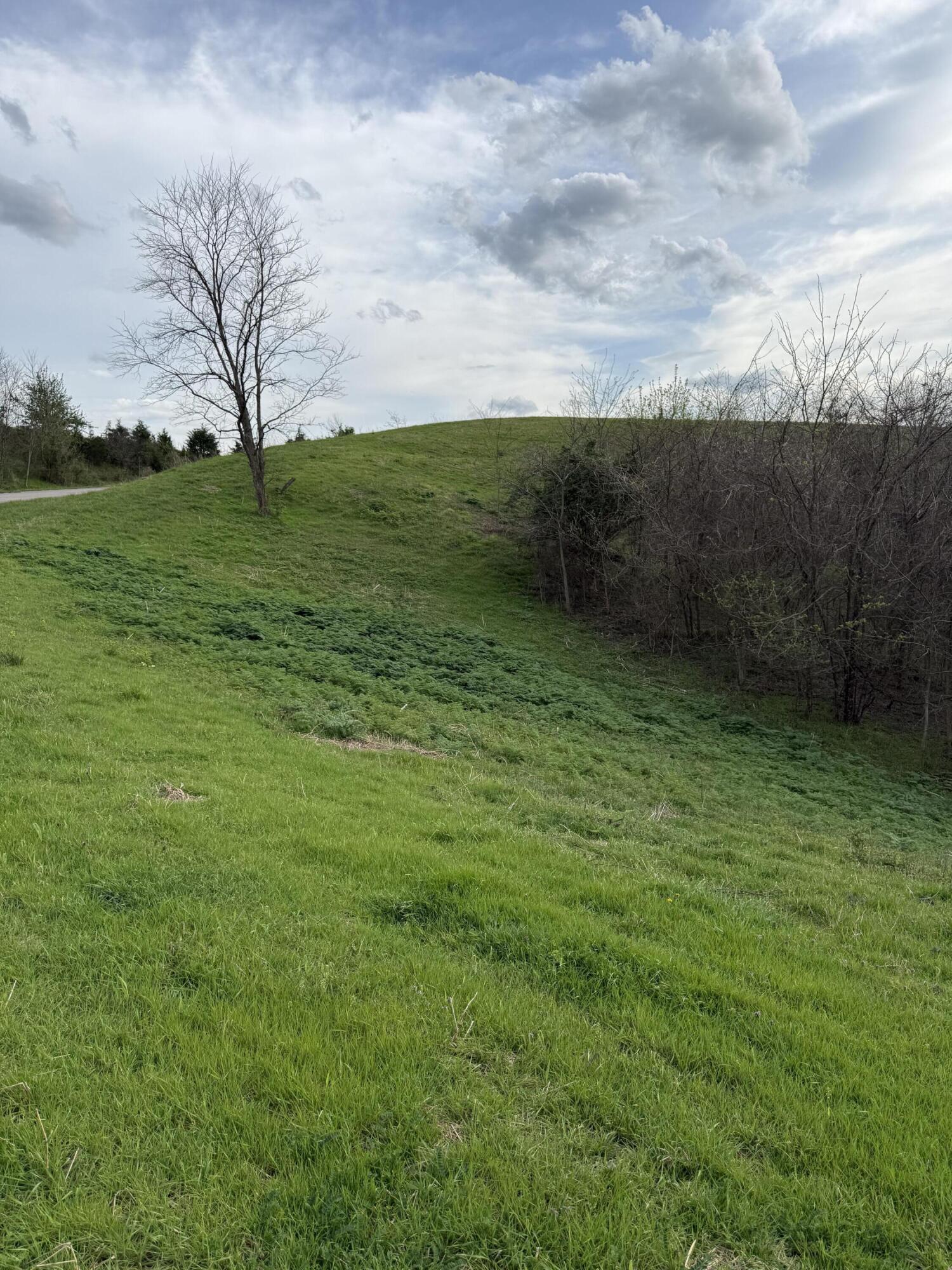 6 S Chowning Lane Property Photo 6