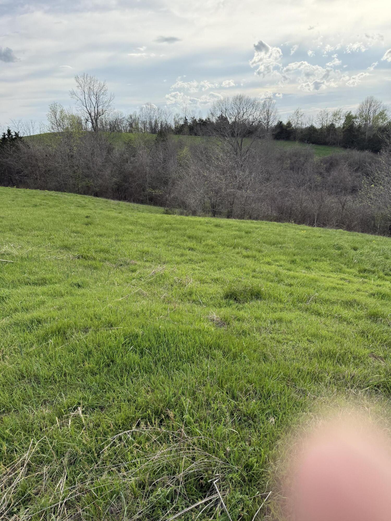 6 S Chowning Lane Property Photo 7