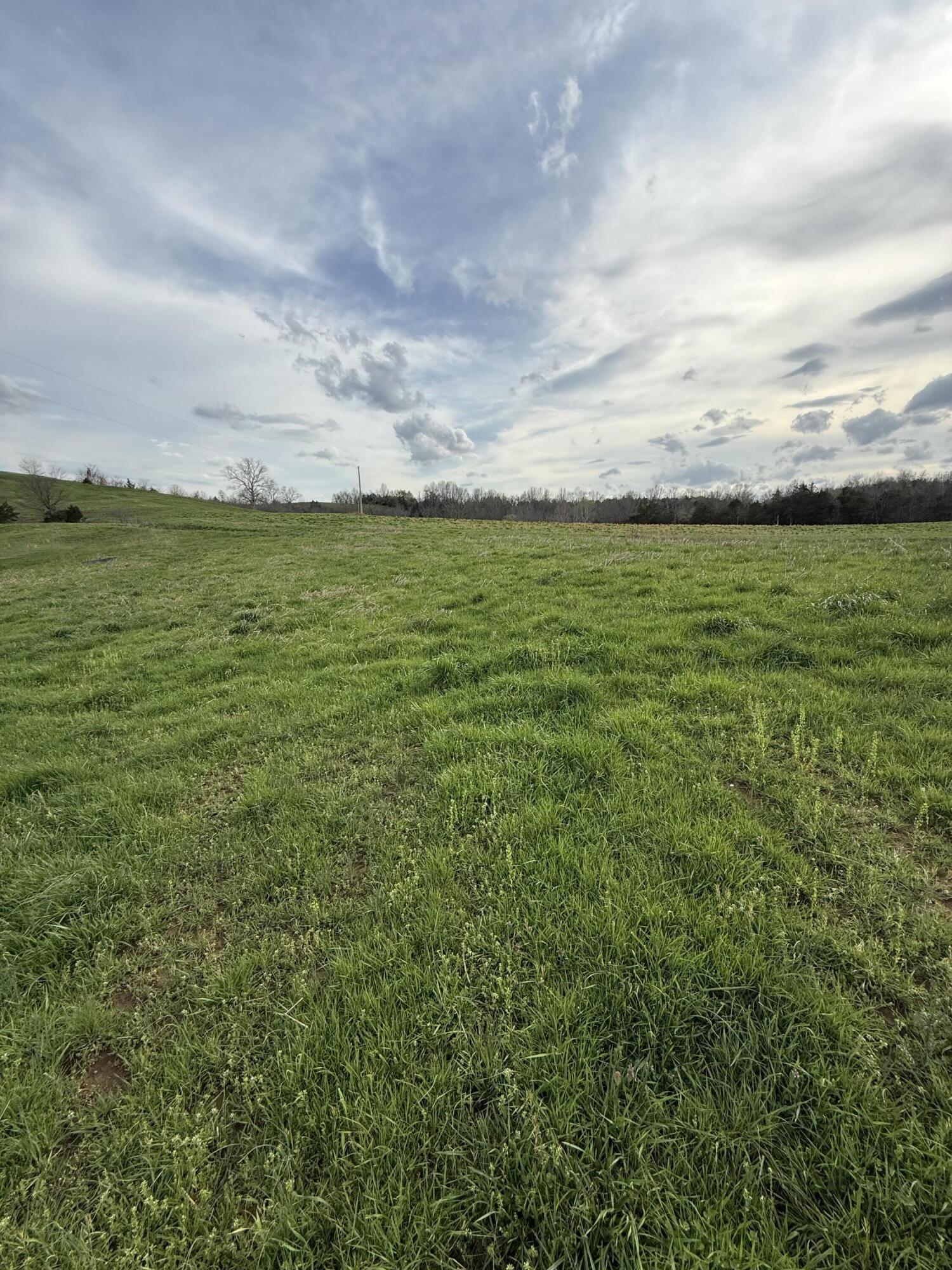 7 S Chowning Lane Property Photo 1