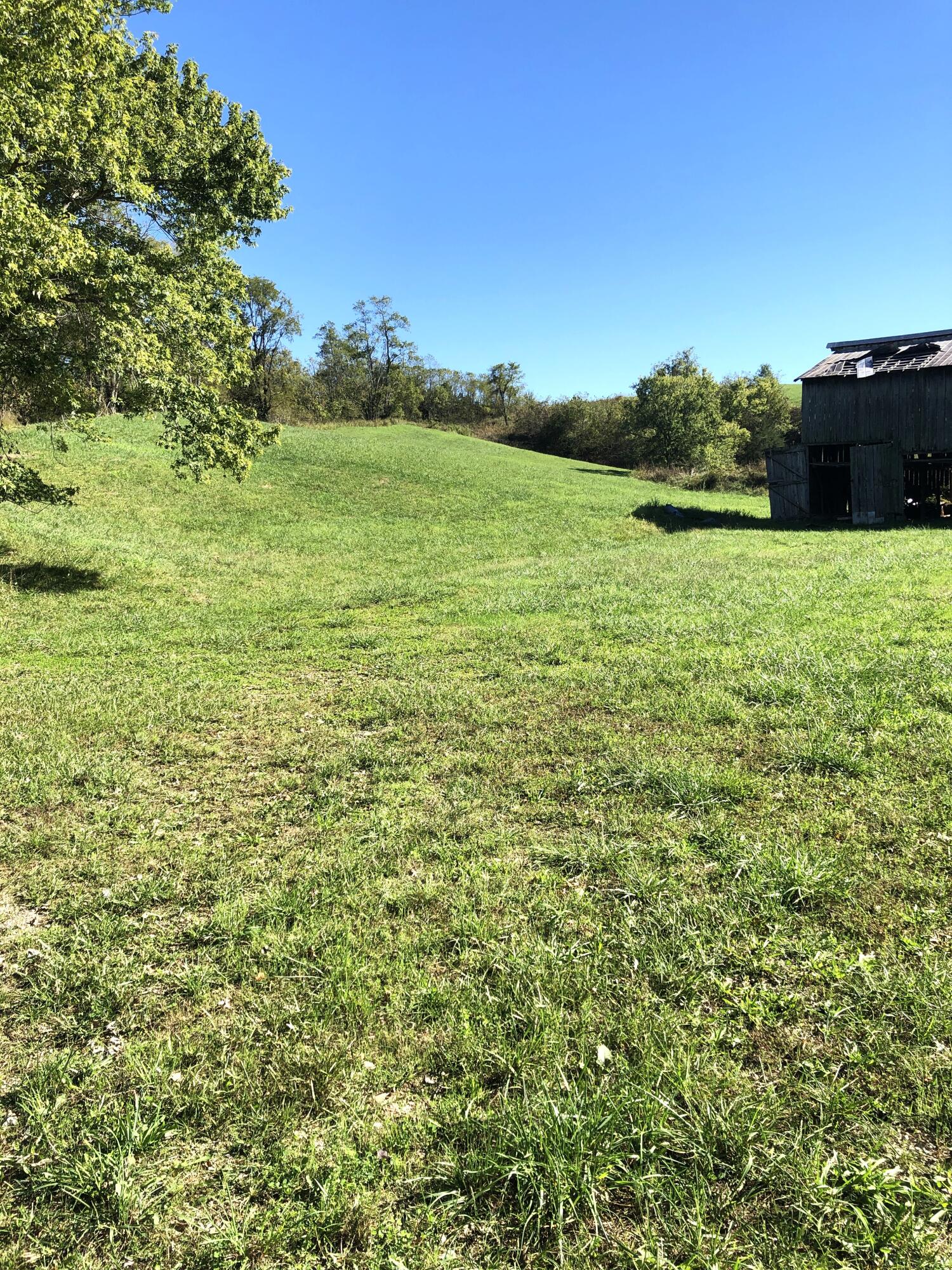 7 S Chowning Lane Property Photo 4