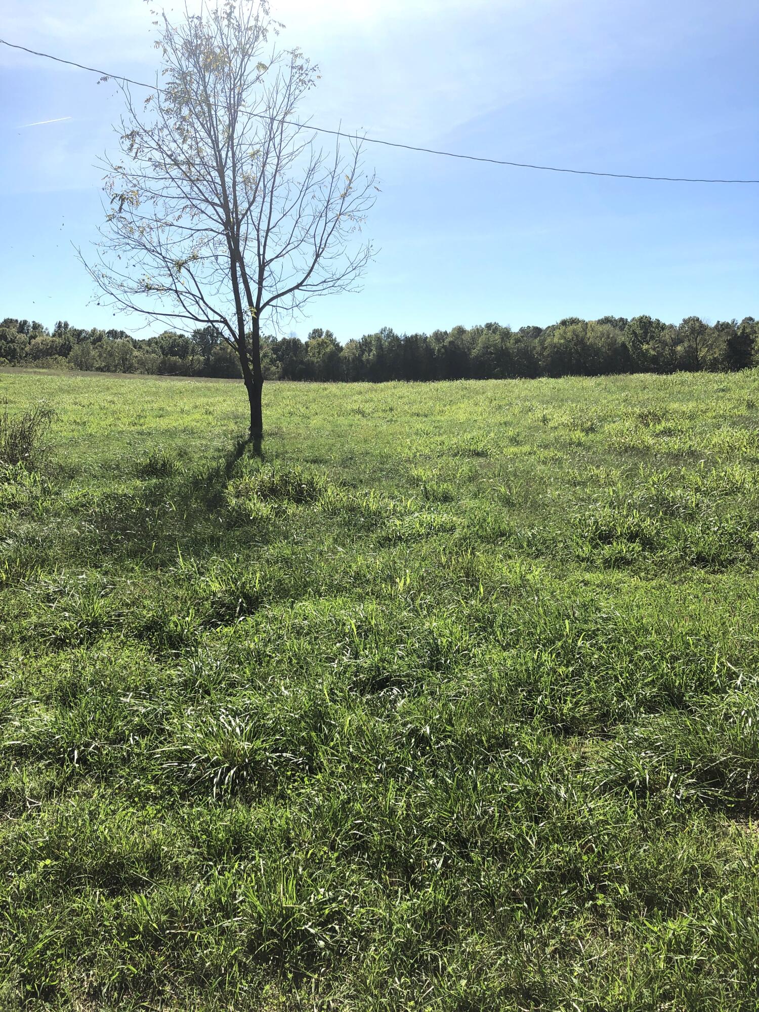 7 S Chowning Lane Property Photo 6