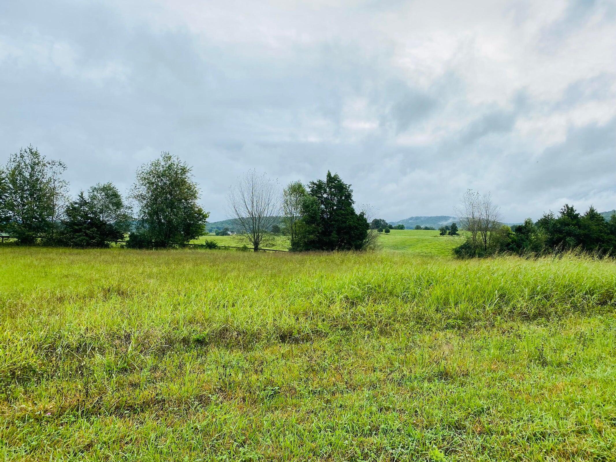 Phase 2 Property Photo 3