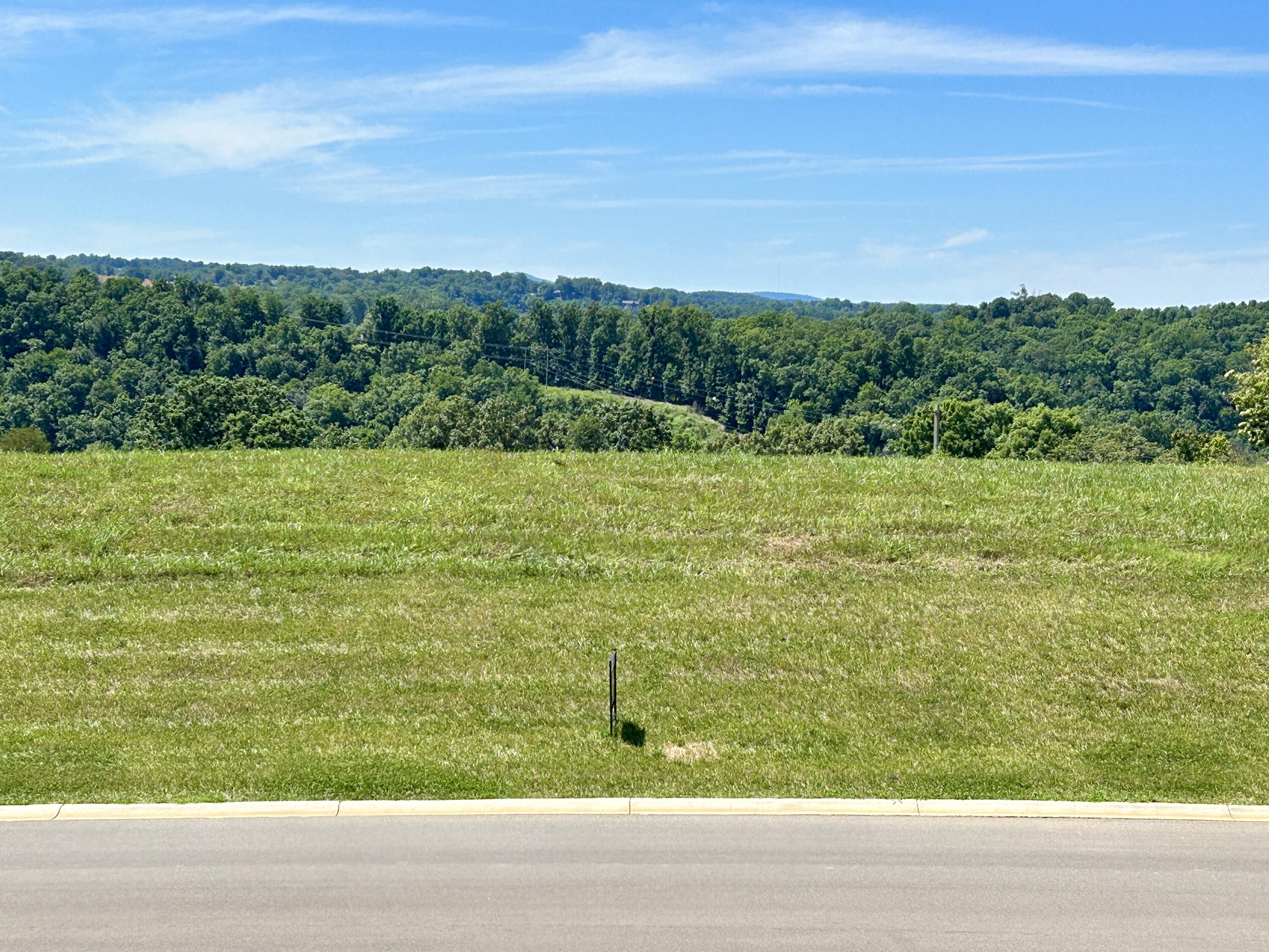 Lot 8 Lakemere Drive Property Photo 4