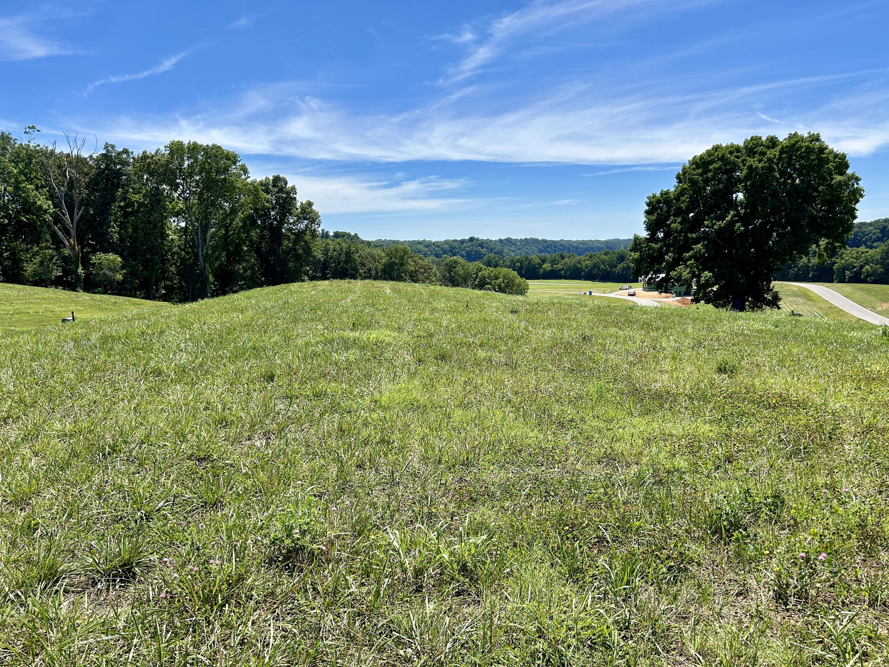 Lot 8 Lakemere Drive Property Photo 6