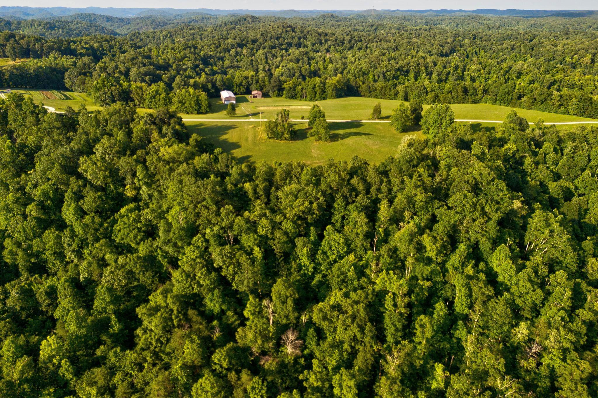 00 Lower Cane Creek Road Property Photo 25