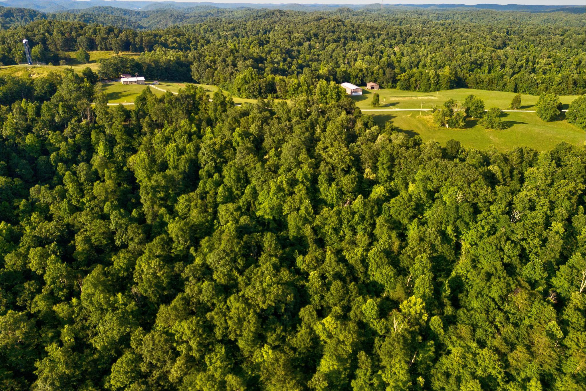 00 Lower Cane Creek Road Property Photo 26
