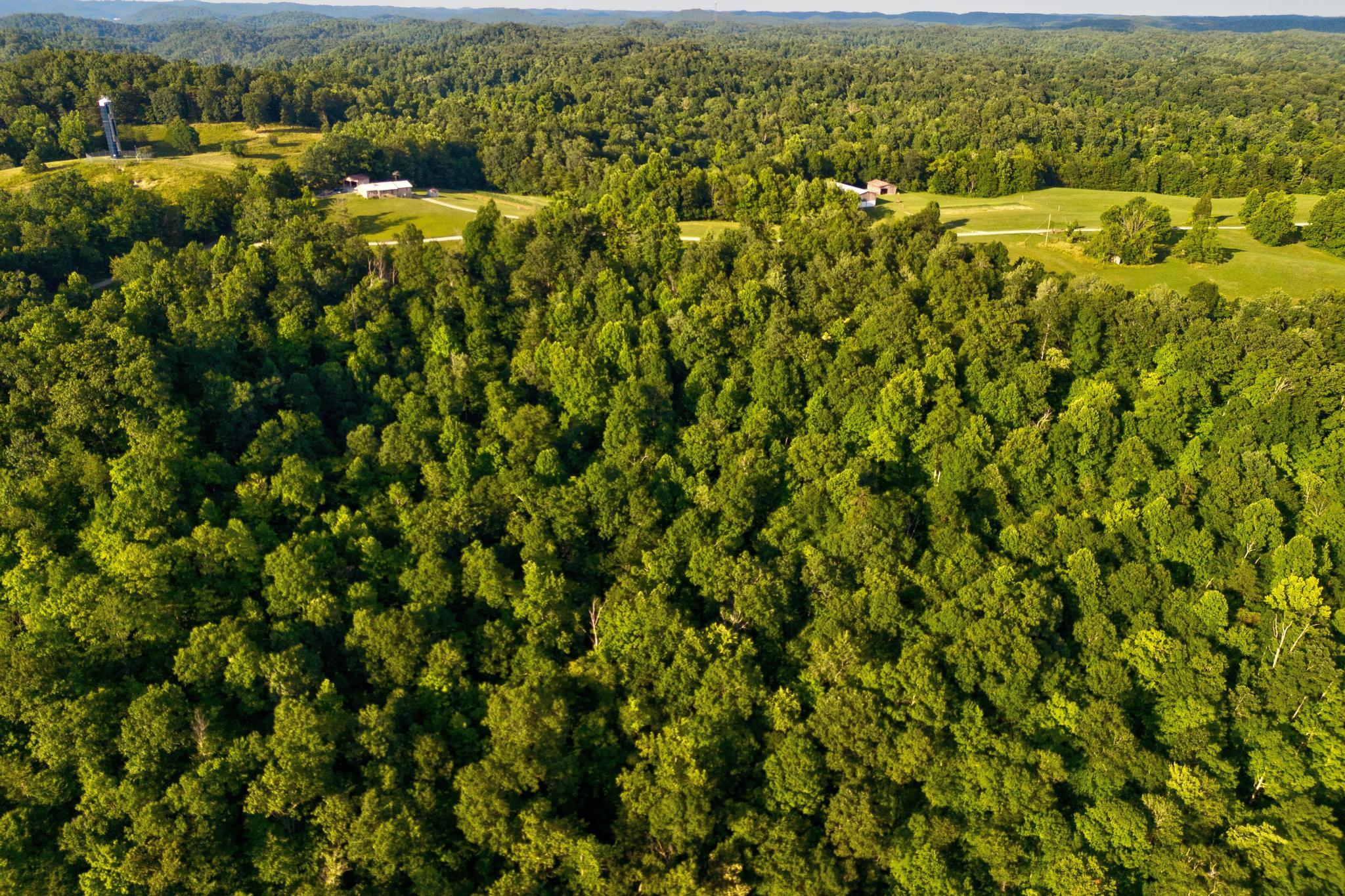 00 Lower Cane Creek Road Property Photo 27
