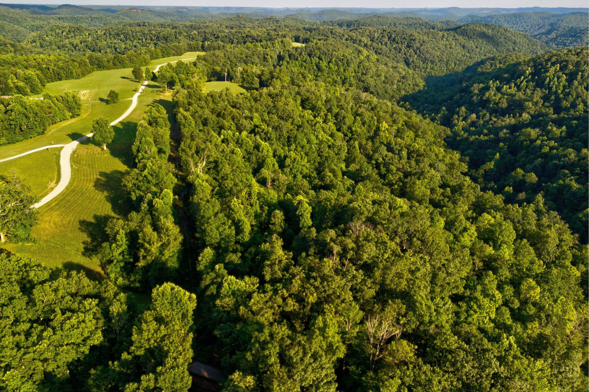 00 Lower Cane Creek Road Property Photo 29