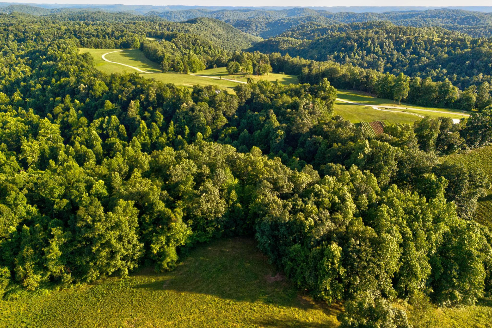 00 Lower Cane Creek Road Property Photo 30