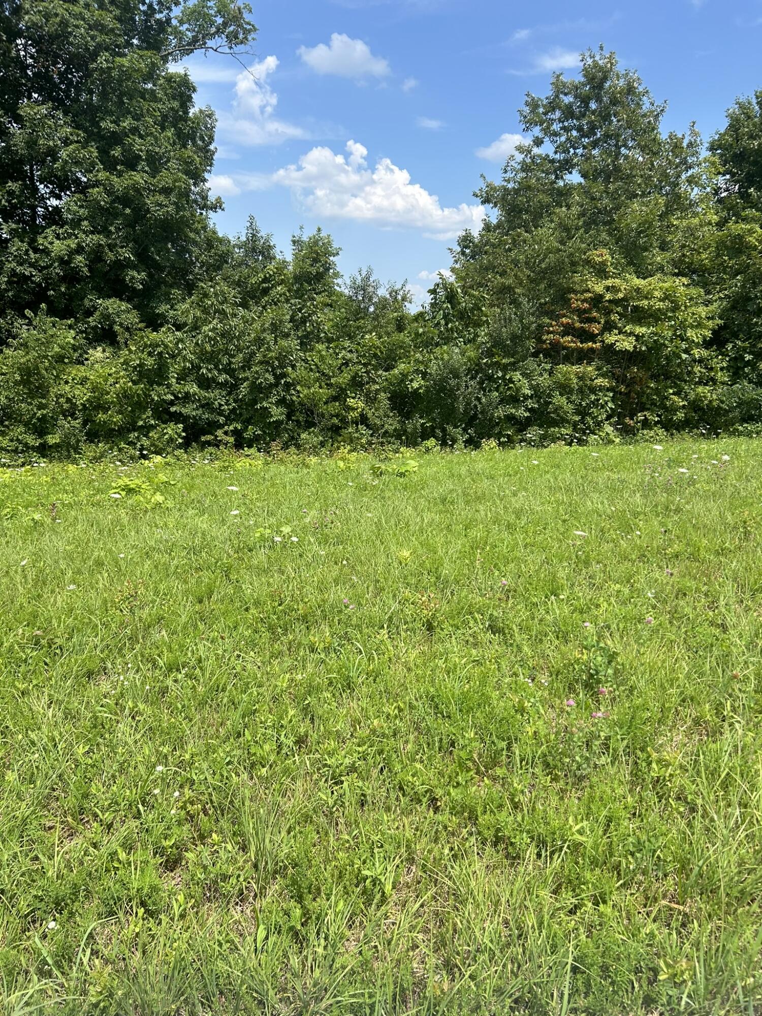 Lot Serenity Property Photo 3