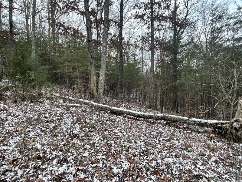 Lot 35 Sandstone Point Property Photo 9