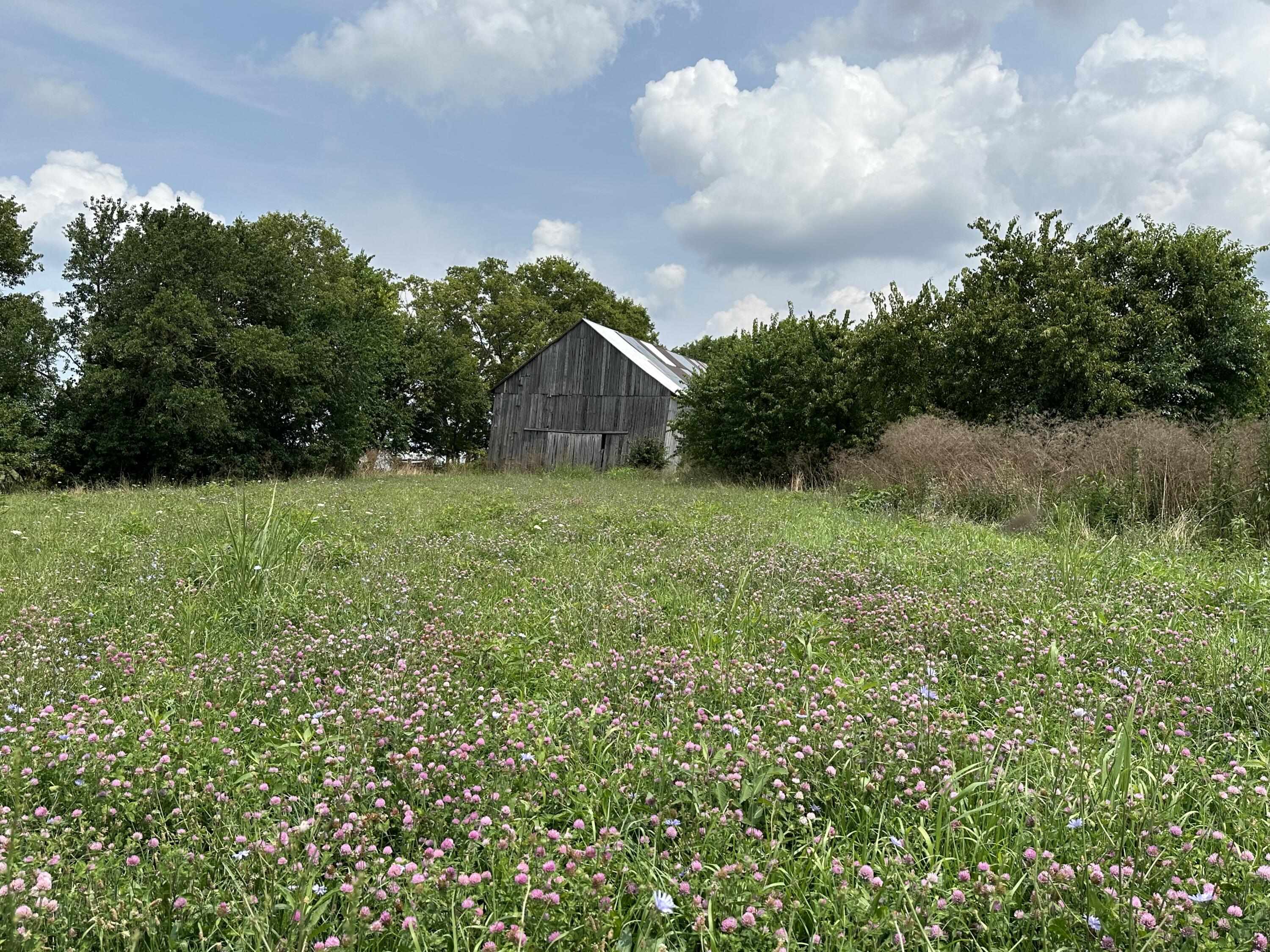 1099 Lloyd Road Property Photo 6