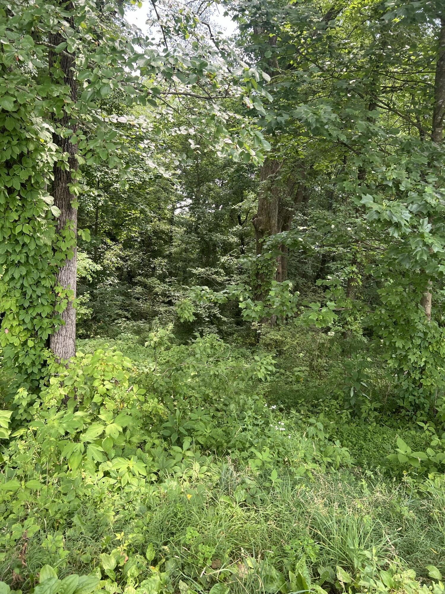 111 Terrell Road Property Photo 1