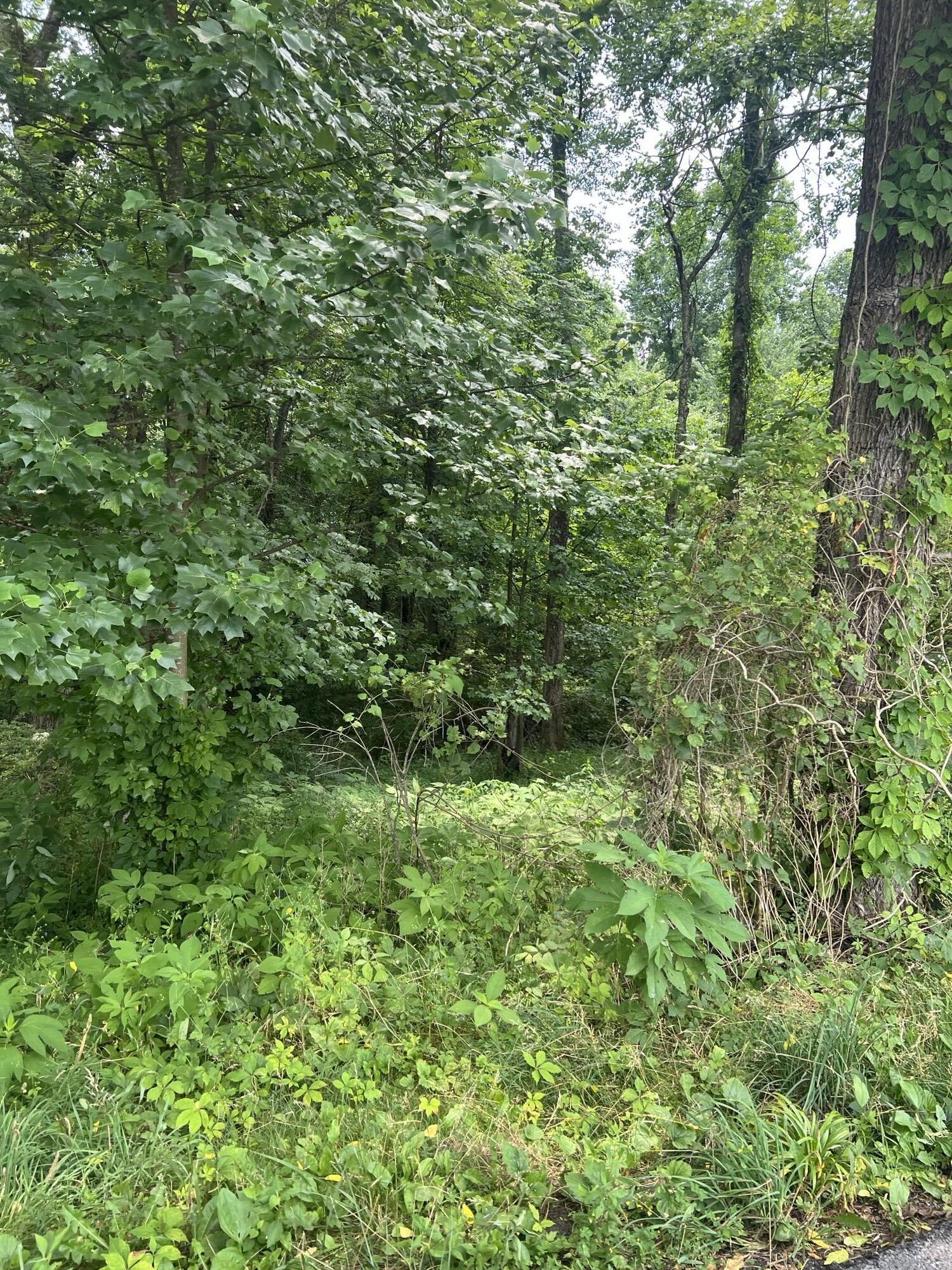 111 Terrell Road Property Photo 2