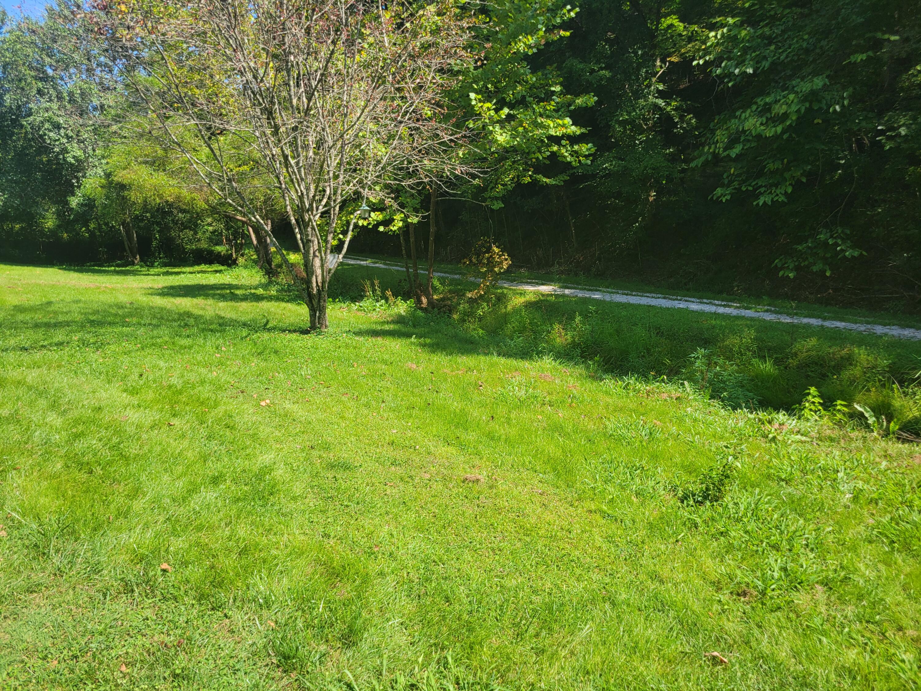 150 E Right Fork- Sugar Camp Road Drive Property Photo 11