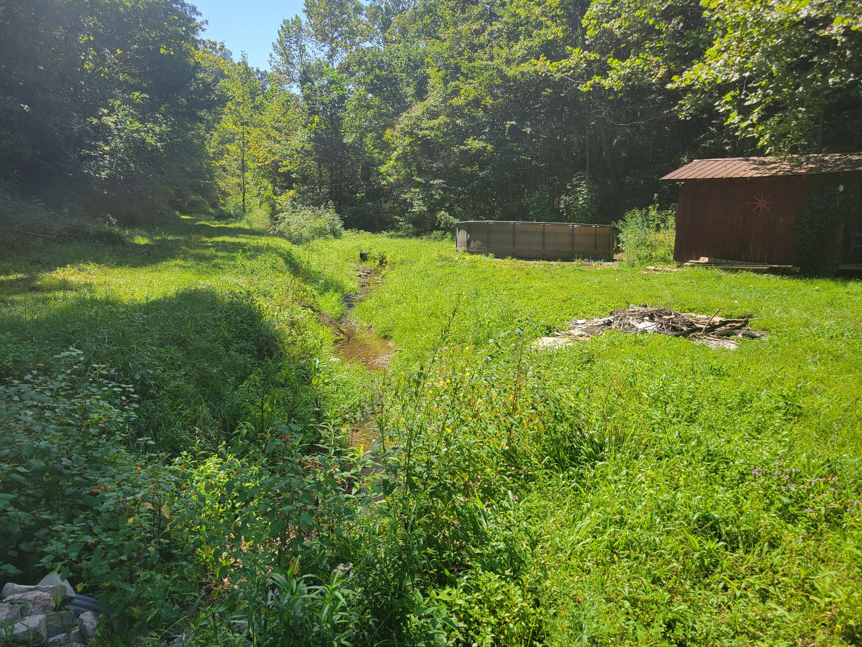 150 E Right Fork- Sugar Camp Road Drive Property Photo 13