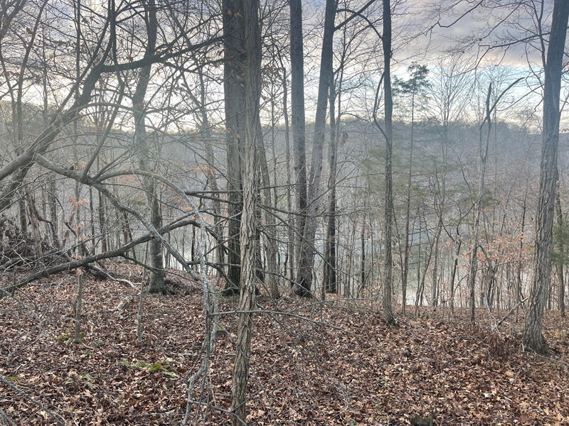 Lot 82 Pleasant View Property Photo 2