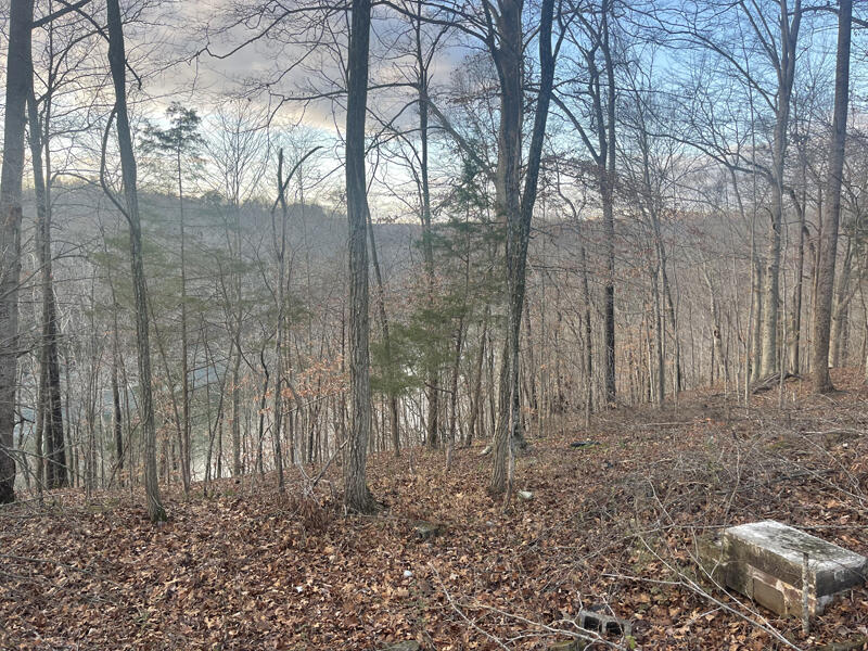 Lot 82 Pleasant View Property Photo 3
