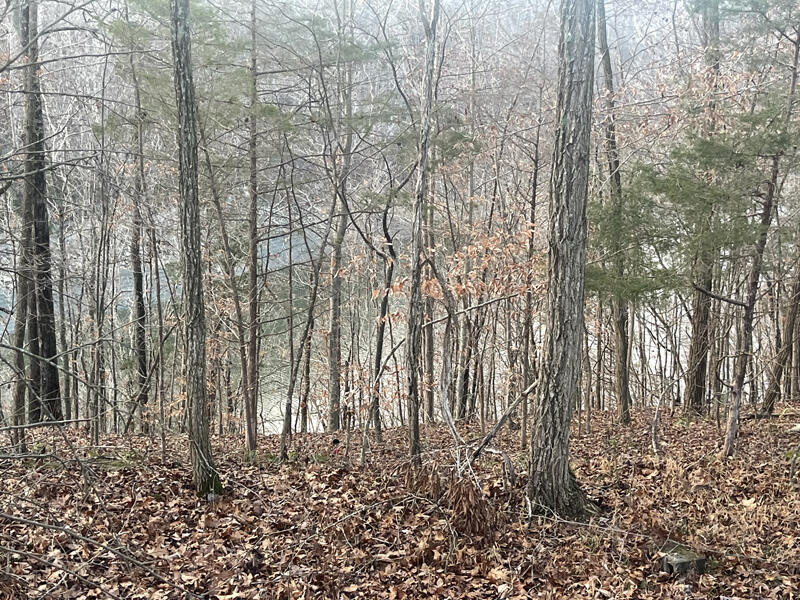 Lot 82 Pleasant View Property Photo 4