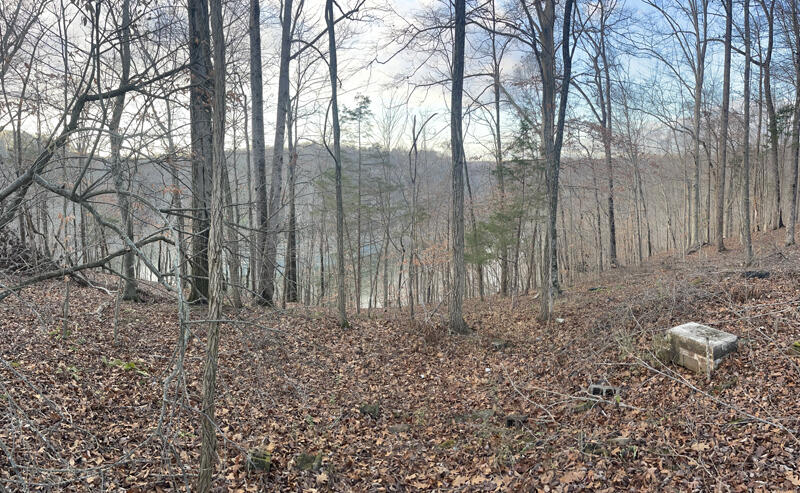 Lot 82 Pleasant View Property Photo 5