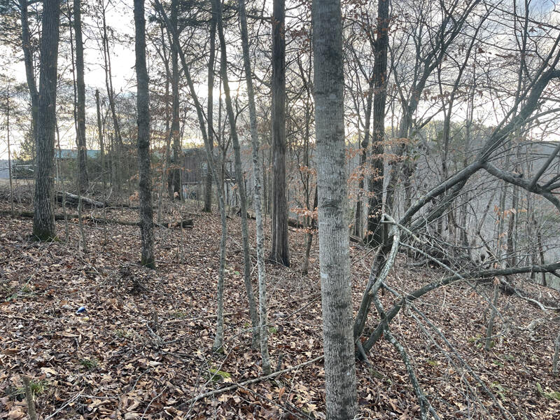 Lot 82 Pleasant View Property Photo 6